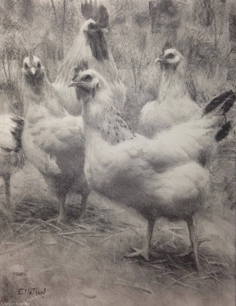 In the Coop