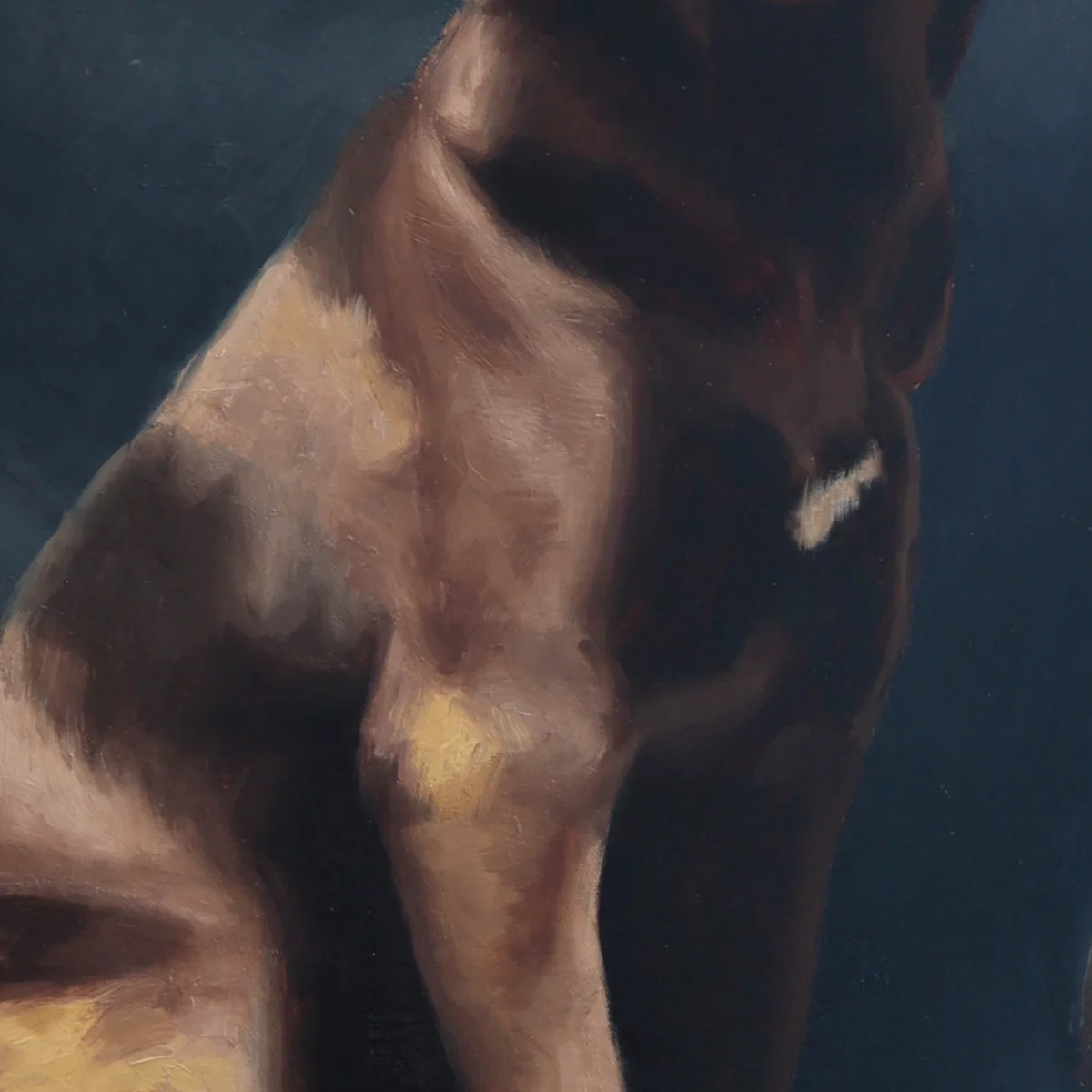 Blitz — detail 2