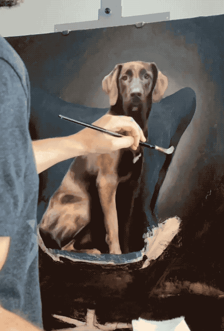 Animated GIF of a hand painting a portrait of a chocolate Labrador on canvas